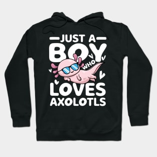 Just a Boy Who Loves Axolotls Hoodie